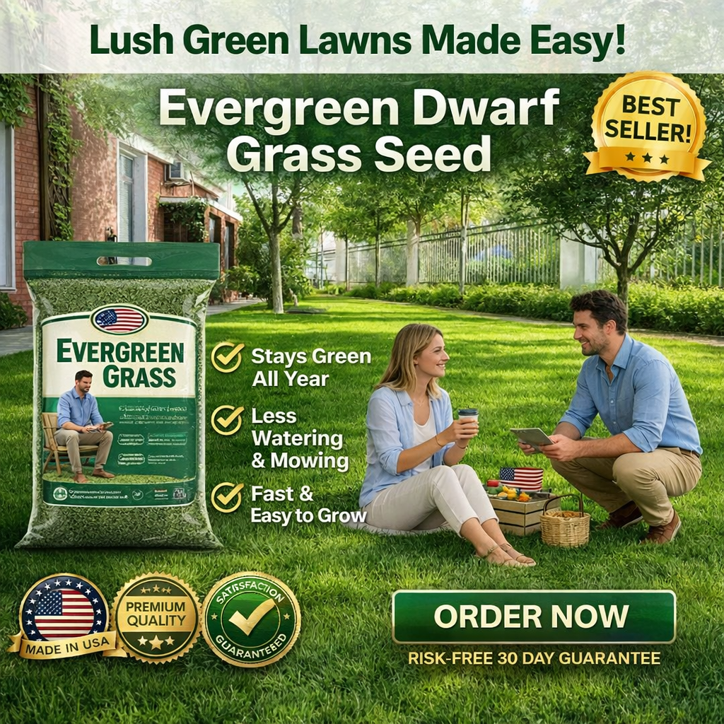 /69dd117826099a000a5d1fbd/2026/04/16/product-img-69e11e03373c02bd69cc07a1.png