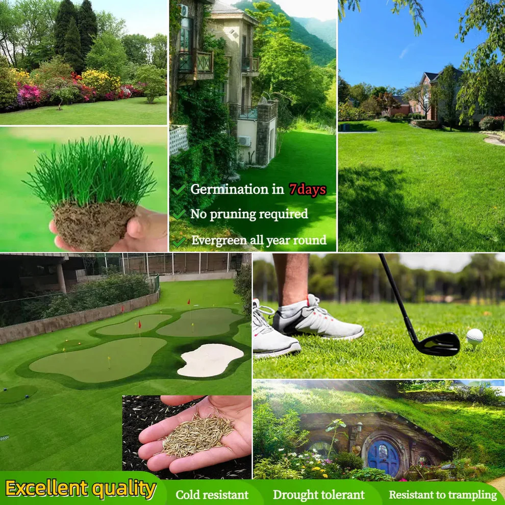 /69dd117826099a000a5d1fbd/2026/04/16/product-img-69e11e04373c02bd69cc07a6.png
